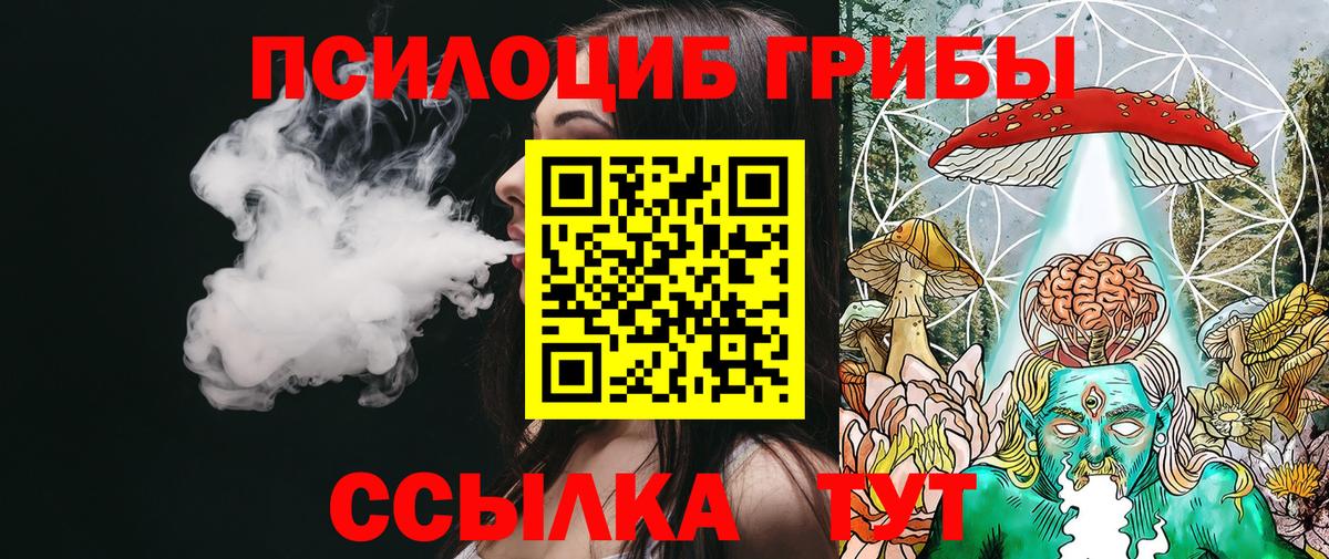 Псилоцибиновые грибы GOLDEN TEACHER  Галлюциногенные грибы Psilocybe  Луга  Вход с VPN 